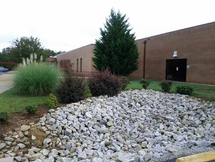 berea-4